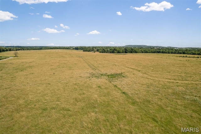 4084 Three Rivers Rd, Farmington, MO 63640 - photo 19