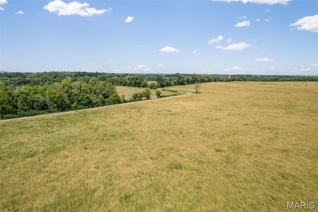 4084 Three Rivers Rd, Farmington, MO 63640 - photo 20