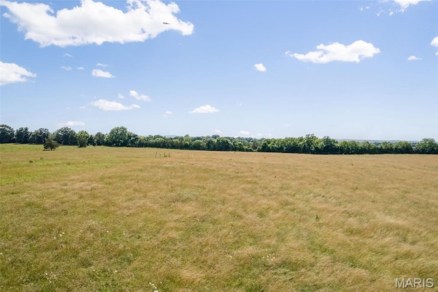 4084 Three Rivers Rd, Farmington, MO 63640 - photo 26