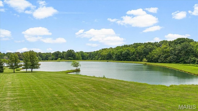 2175 Oberhelman Rd, Foristell, MO 63348 - water view featuring a forest
