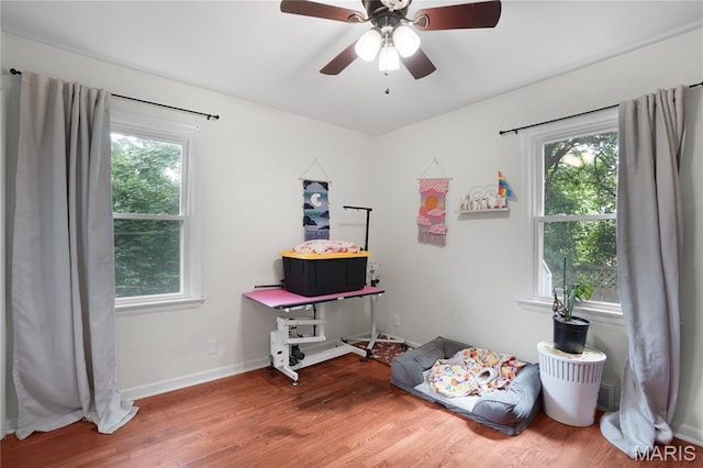 10502 Kamping Ln, Saint Louis, MO 63123 - playroom with healthy amount of natural light, wood finished floors, and a ceiling fan