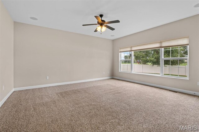980 Carnegie Knolls Dr, Ofallon, IL 62269 - photo 14
