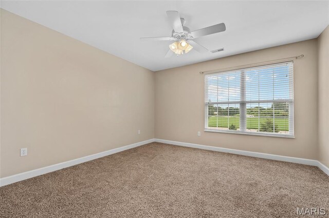 980 Carnegie Knolls Dr, Ofallon, IL 62269 - photo 35