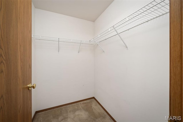 1141 Arbor Creek Dr Unit 2C, Saint Louis, MO 63122 - spacious closet with carpet flooring