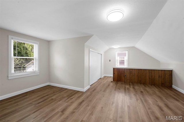 841 N Geyer Rd, Kirkwood, MO 63122 - additional living space featuring wood finished floors, healthy amount of natural light, and lofted ceiling