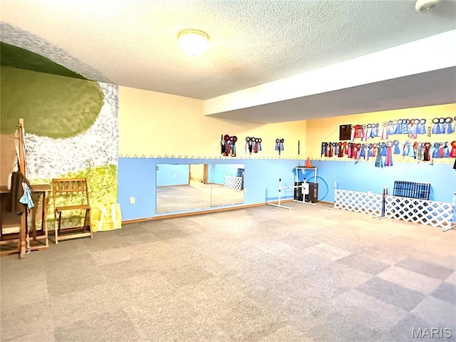 18 Sandstone Ct, Troy, IL 62294 - miscellaneous room with a textured ceiling and carpet floors