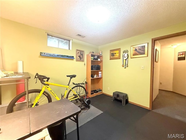 18 Sandstone Ct, Troy, IL 62294 - workout room featuring a textured ceiling and baseboards