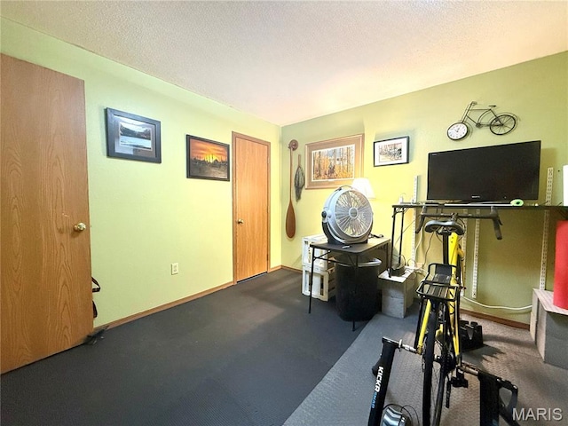 18 Sandstone Ct, Troy, IL 62294 - workout room featuring a textured ceiling