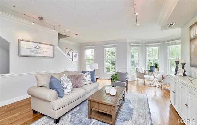 3432 Civic Green Dr, Saint Charles, MO 63301 - living room featuring rail lighting, crown molding, light wood-style floors, a textured ceiling, and plenty of natural light