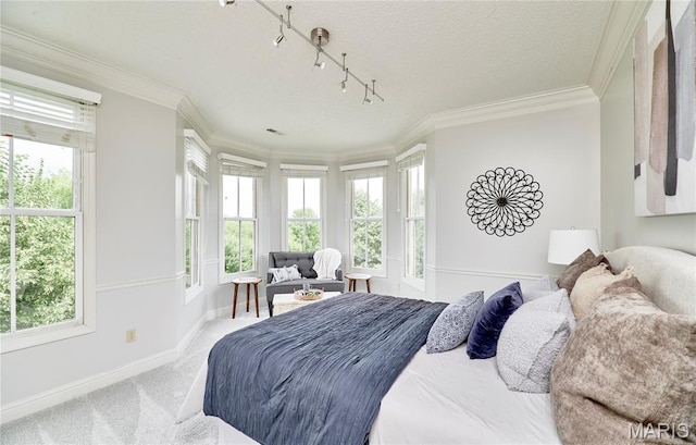 3432 Civic Green Dr, Saint Charles, MO 63301 - bedroom with multiple windows, carpet, crown molding, and rail lighting
