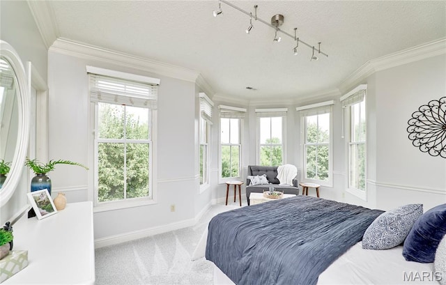 3432 Civic Green Dr, Saint Charles, MO 63301 - carpeted bedroom featuring crown molding and a textured ceiling