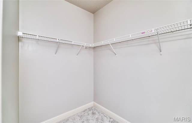 3432 Civic Green Dr, Saint Charles, MO 63301 - spacious closet with carpet