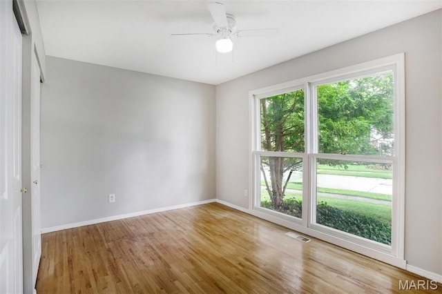 12033 Tangletree Dr, Saint Louis, MO 63146 - photo 13