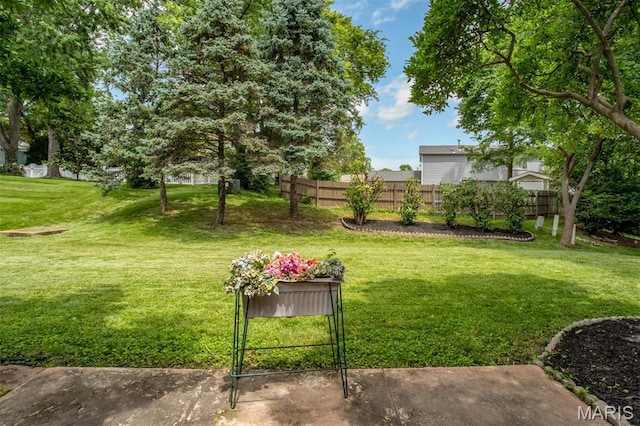 12033 Tangletree Dr, Saint Louis, MO 63146 - photo 18