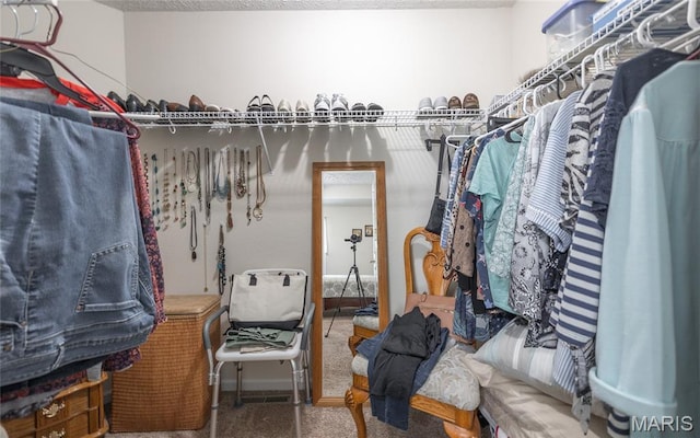 708 Chestnut Dr, Rolla, MO 65401 - spacious closet featuring carpet flooring