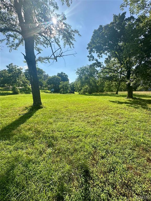 701 Alvarado, Belle, MO 65013 - view of grassy yard