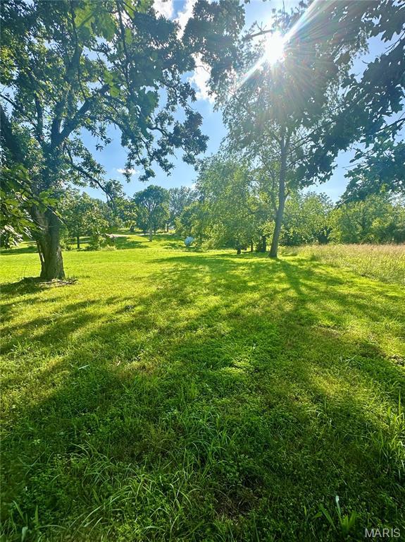 701 Alvarado, Belle, MO 65013 - view of grassy yard