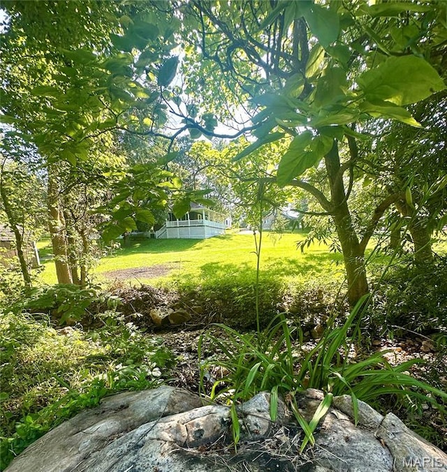 701 Alvarado, Belle, MO 65013 - view of green lawn