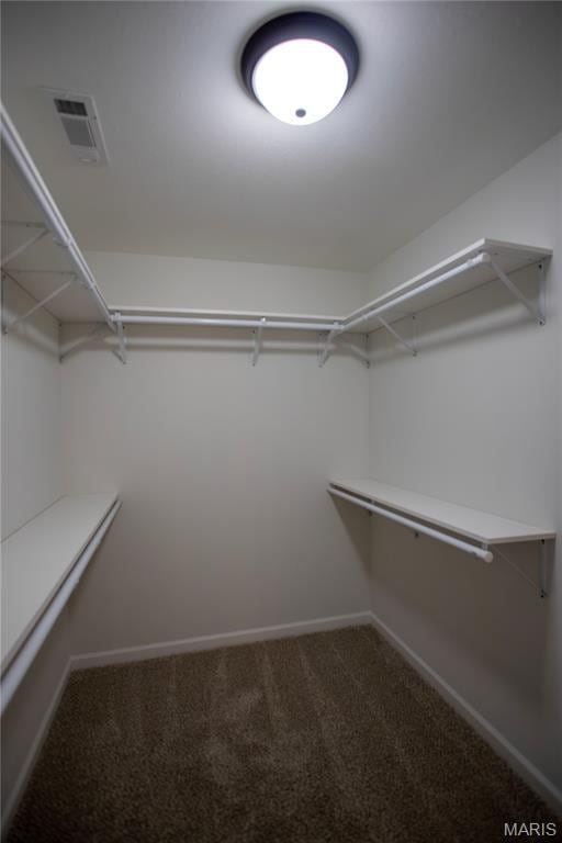 1205 Yosemite, Sikeston, MO 63801 - spacious closet featuring carpet floors