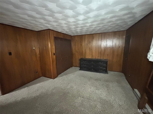 304 Taylor Ave, Park Hills, MO 63601 - bonus room featuring wood walls, carpet flooring, and baseboard heating