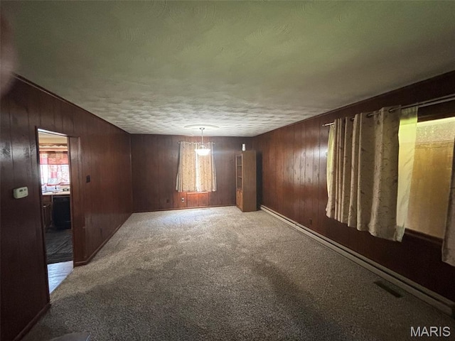 304 Taylor Ave, Park Hills, MO 63601 - spare room featuring wood walls, carpet floors, and a textured ceiling