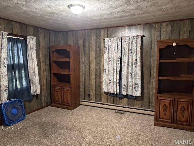 304 Taylor Ave, Park Hills, MO 63601 - carpeted spare room featuring a baseboard radiator and wooden walls