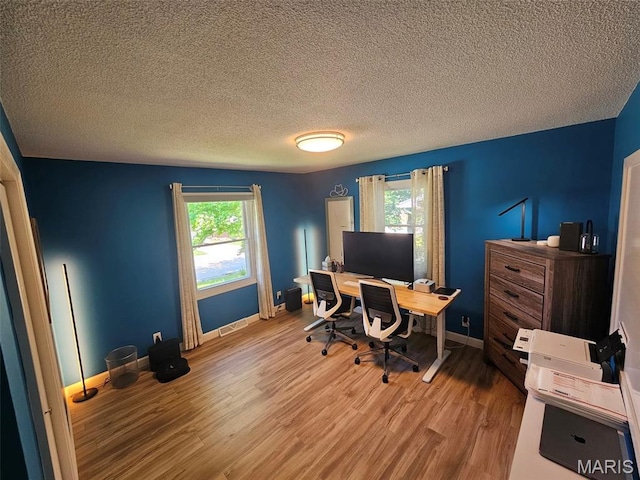 23 Hamlin Heights Dr, Hannibal, MO 63401 - office area featuring wood finished floors and a textured ceiling