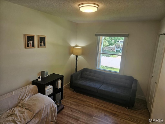 23 Hamlin Heights Dr, Hannibal, MO 63401 - living area with wood finished floors and a textured ceiling