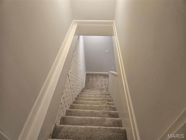 23 Hamlin Heights Dr, Hannibal, MO 63401 - stairs with carpet floors