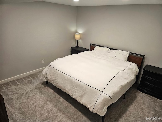 23 Hamlin Heights Dr, Hannibal, MO 63401 - bedroom with carpet floors and baseboards