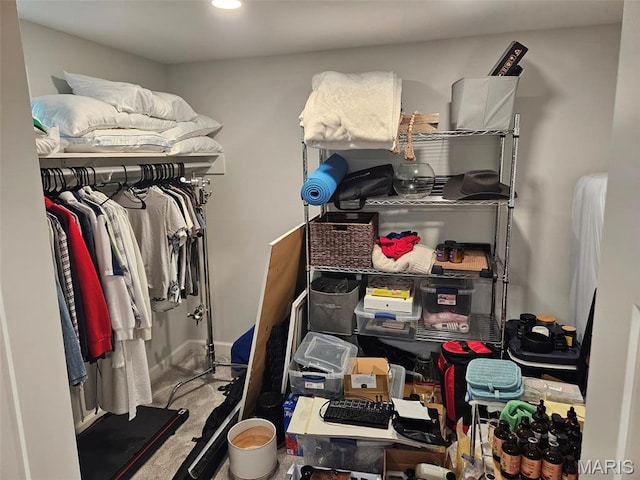 23 Hamlin Heights Dr, Hannibal, MO 63401 - spacious closet with carpet floors
