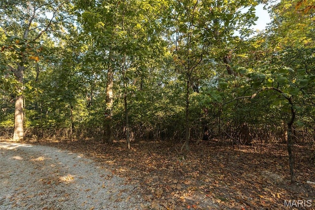 0 Mikel Ln, High Ridge, MO 63049 - photo 3