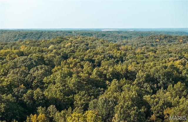 0 Mikel Ln, High Ridge, MO 63049 - photo 11