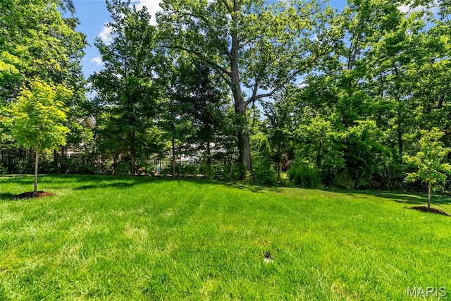 1050 Couch Ave, Saint Louis, MO 63122 - photo 94