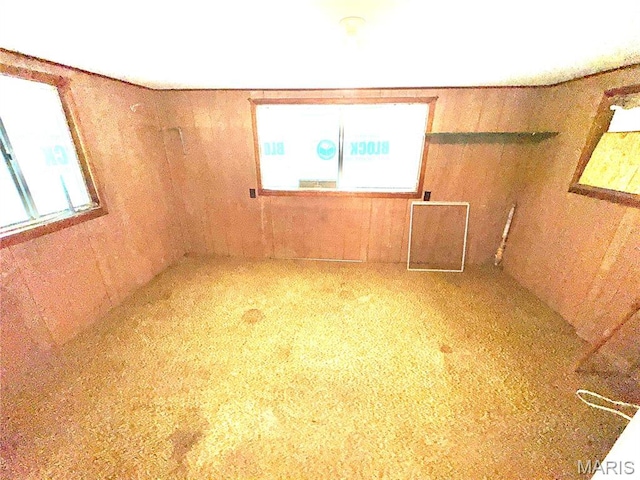 1112 Center St, Bismarck, MO 63624 - empty room with wooden walls
