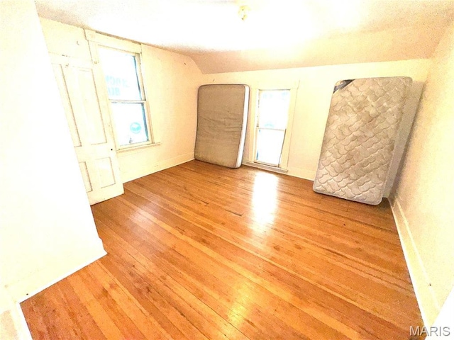 1112 Center St, Bismarck, MO 63624 - empty room with light wood-type flooring and plenty of natural light