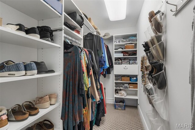208 Ambridge Ct Unit 302, Chesterfield, MO 63017 - walk in closet with carpet