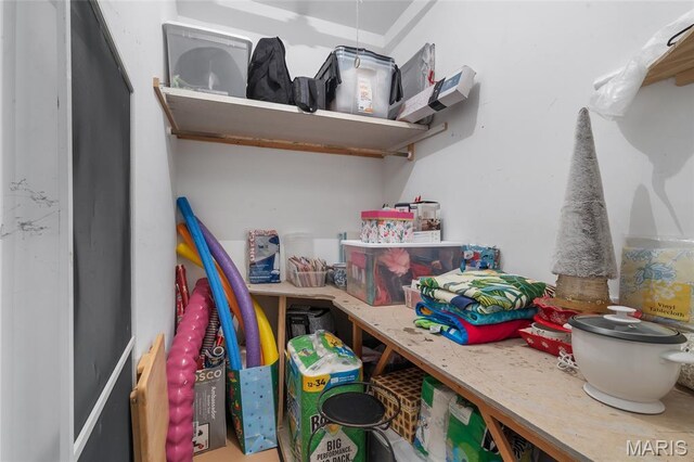 208 Ambridge Ct Unit 302, Chesterfield, MO 63017 - view of storage area
