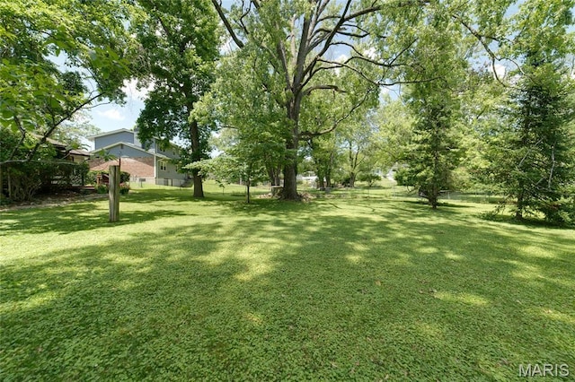 13011 Ambois Dr, Saint Louis, MO 63141 - view of yard