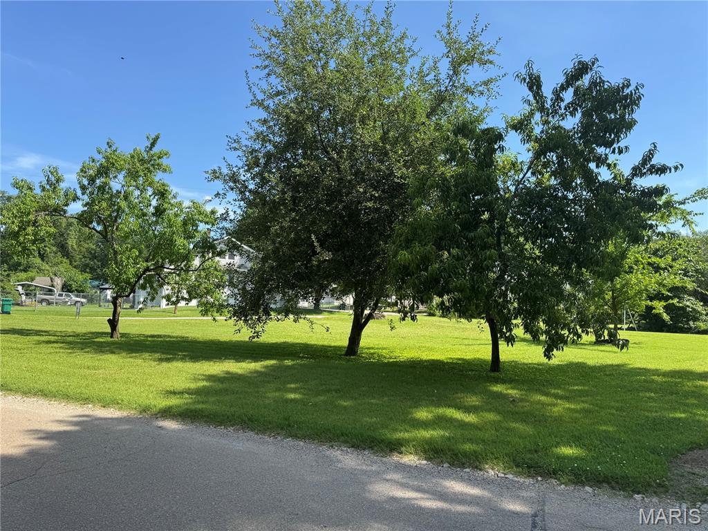 0 Lahaye, Saint Genevieve, MO 63670 - photo 3
