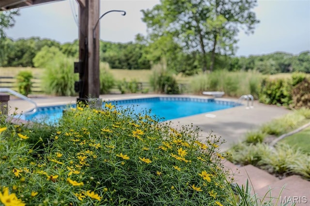 16930 Grace Rd, Lebanon, MO 65536 - outdoor pool with a diving board and a patio