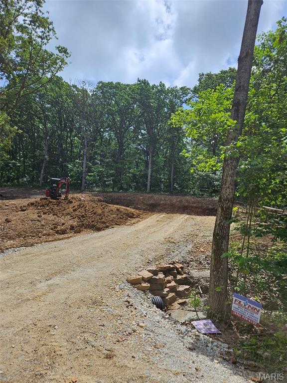 6650 Shenandoah Dr, Dittmer, MO 63023 - view of road
