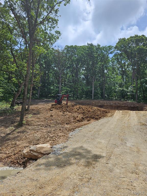 6650 Shenandoah Dr, Dittmer, MO 63023 - view of street
