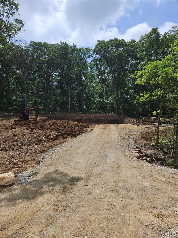 6650 Shenandoah Dr, Dittmer, MO 63023 - view of road