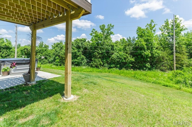 8280 Obrien Dr, Cedar Hill, MO 63016 - view of grassy yard featuring a hot tub and a patio area