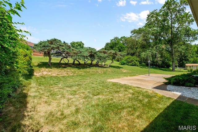 7849 Cassia Ct, Saint Louis, MO 63123 - view of green lawn