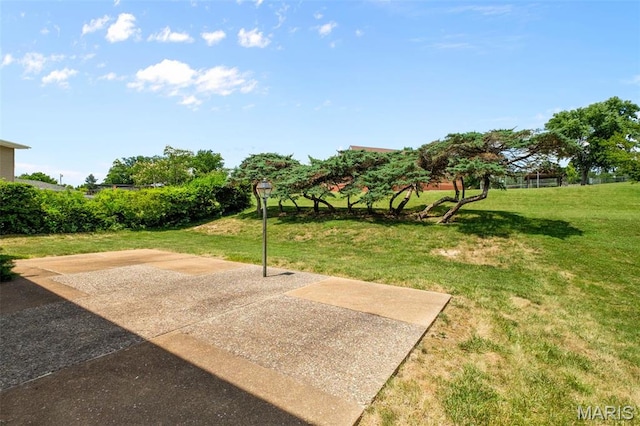 7849 Cassia Ct, Saint Louis, MO 63123 - view of green lawn featuring a patio