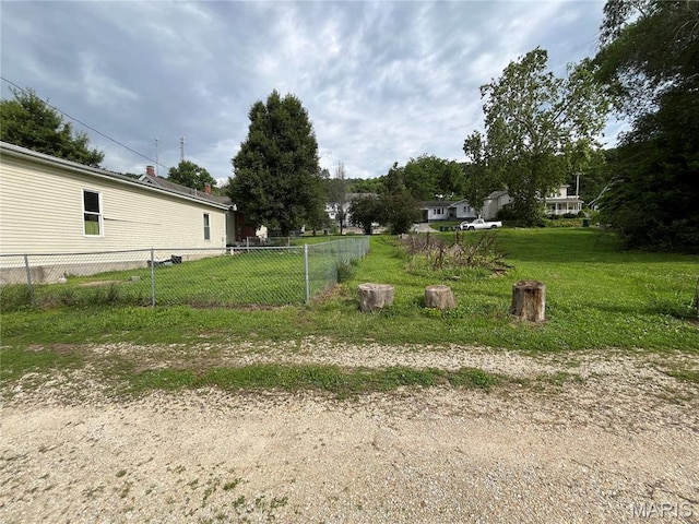 121 N 13th St, Louisiana, MO 63353 - view of yard