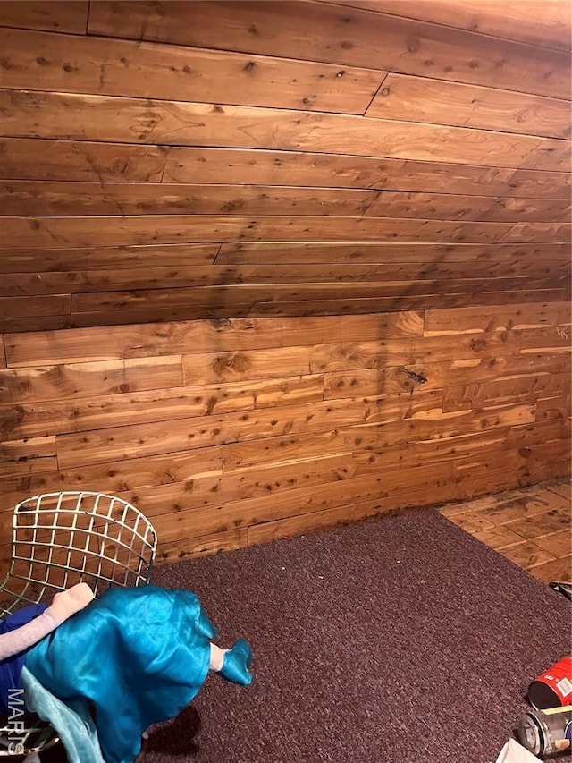 121 N 13th St, Louisiana, MO 63353 - bonus room featuring wood walls