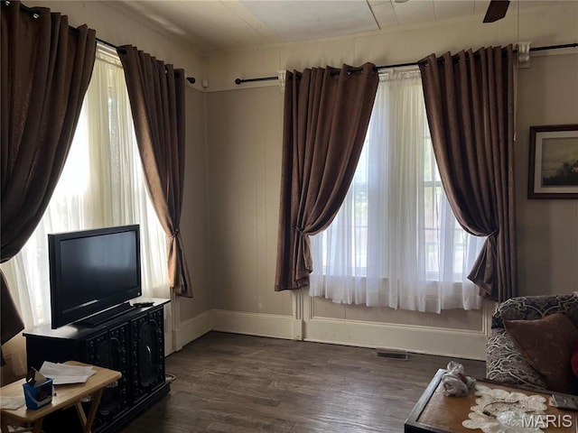 121 N 13th St, Louisiana, MO 63353 - living area featuring healthy amount of natural light and dark wood finished floors